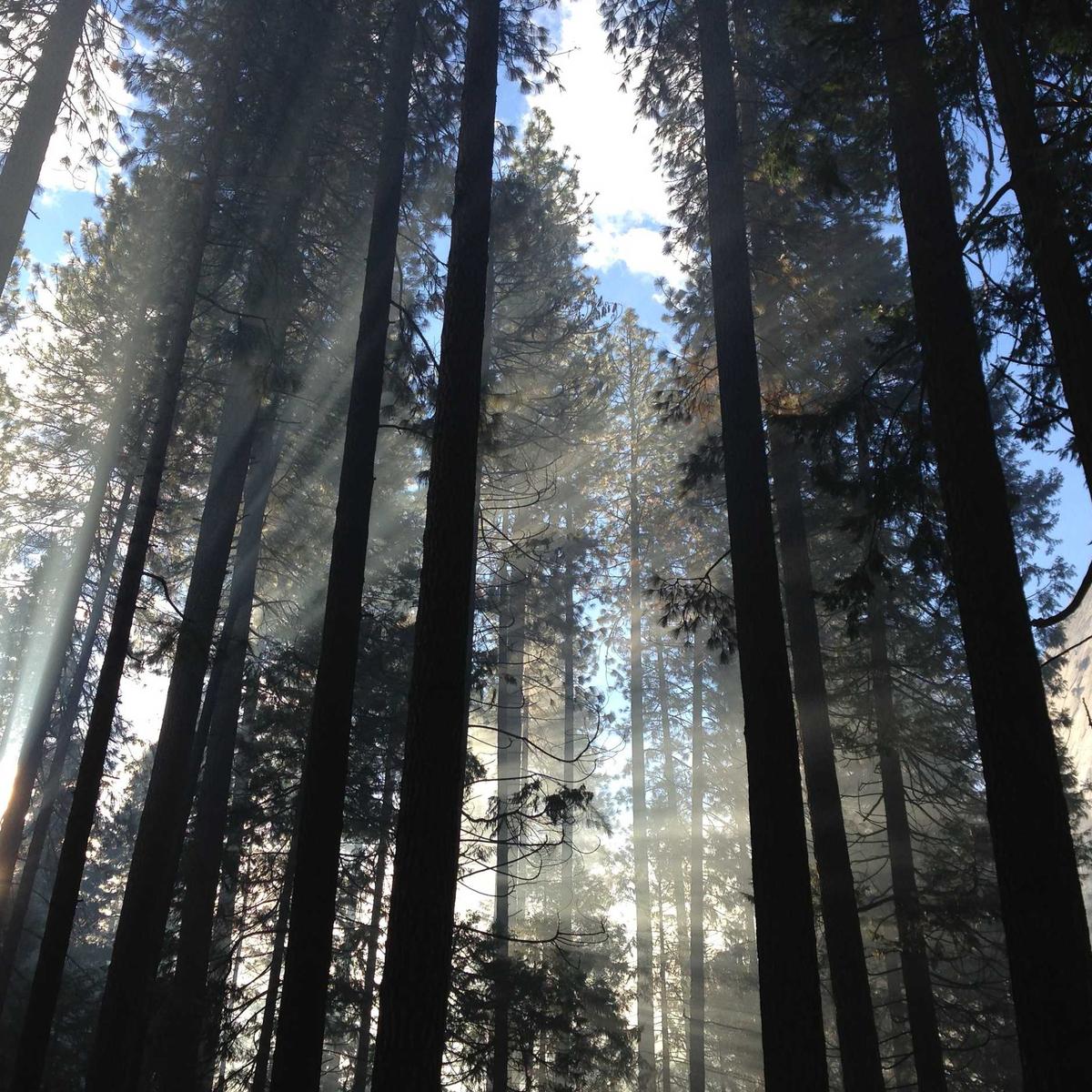 2-bedroom apartment in Masaki – 2