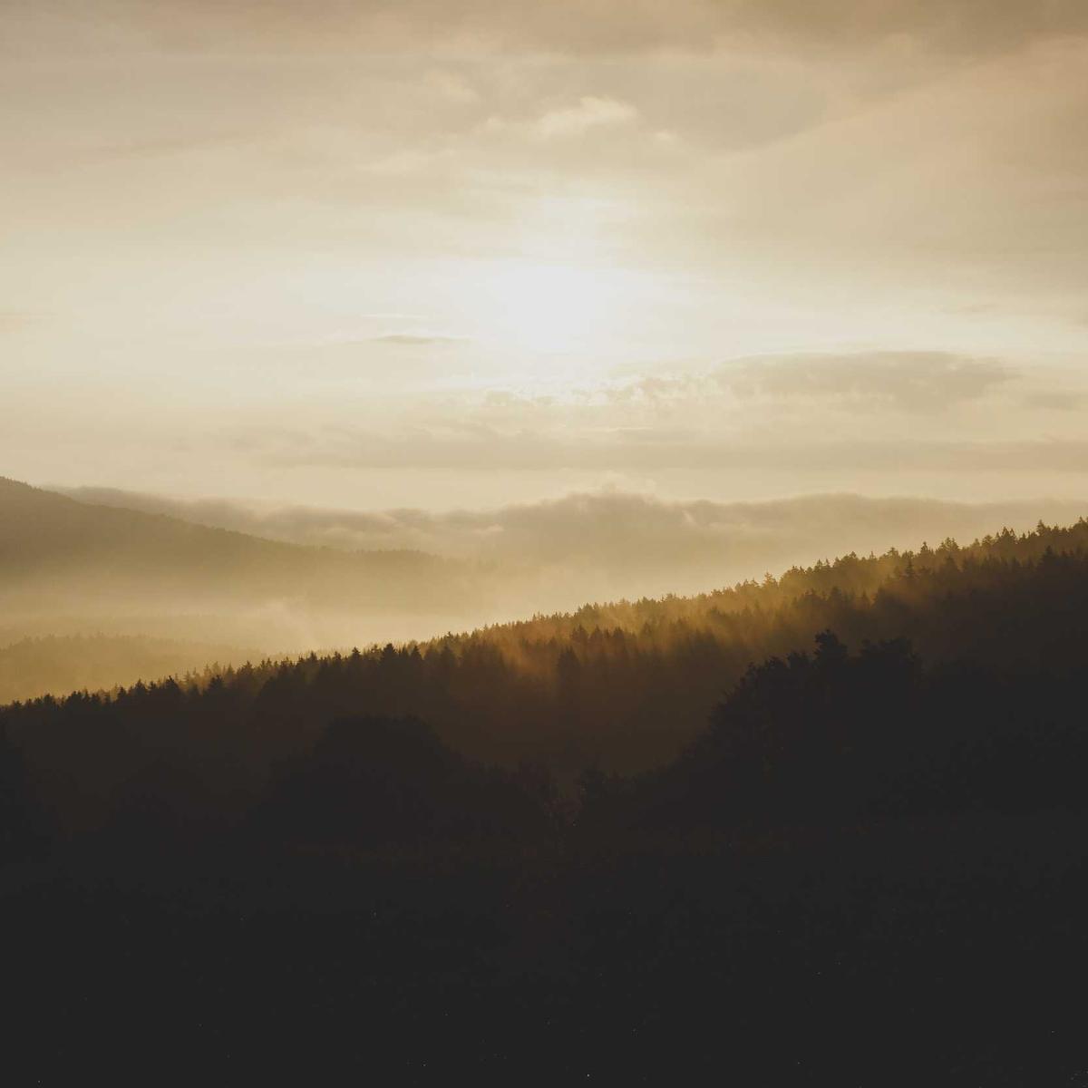 2-bedroom apartment in Masaki – 4