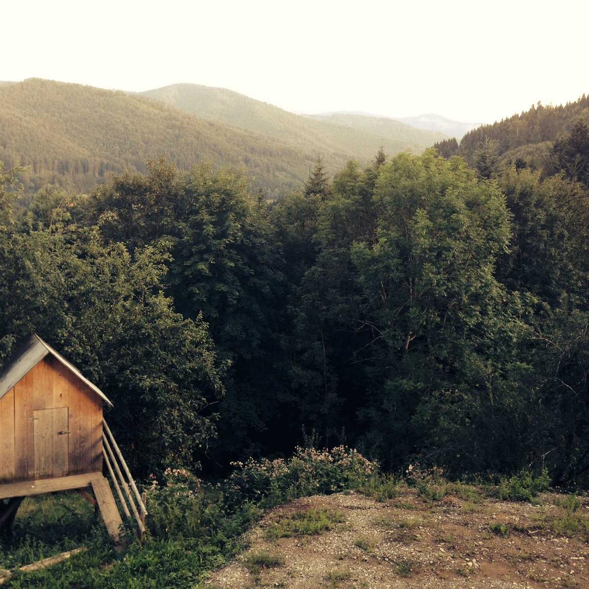 Accountant part-time – 1