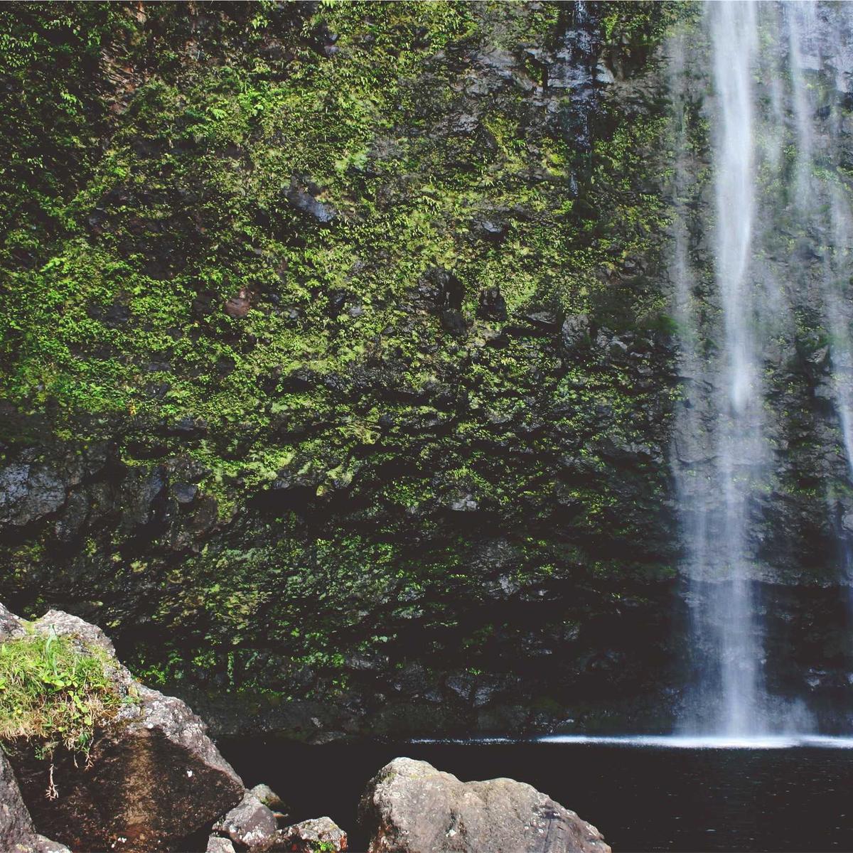 Accountant part-time – 2