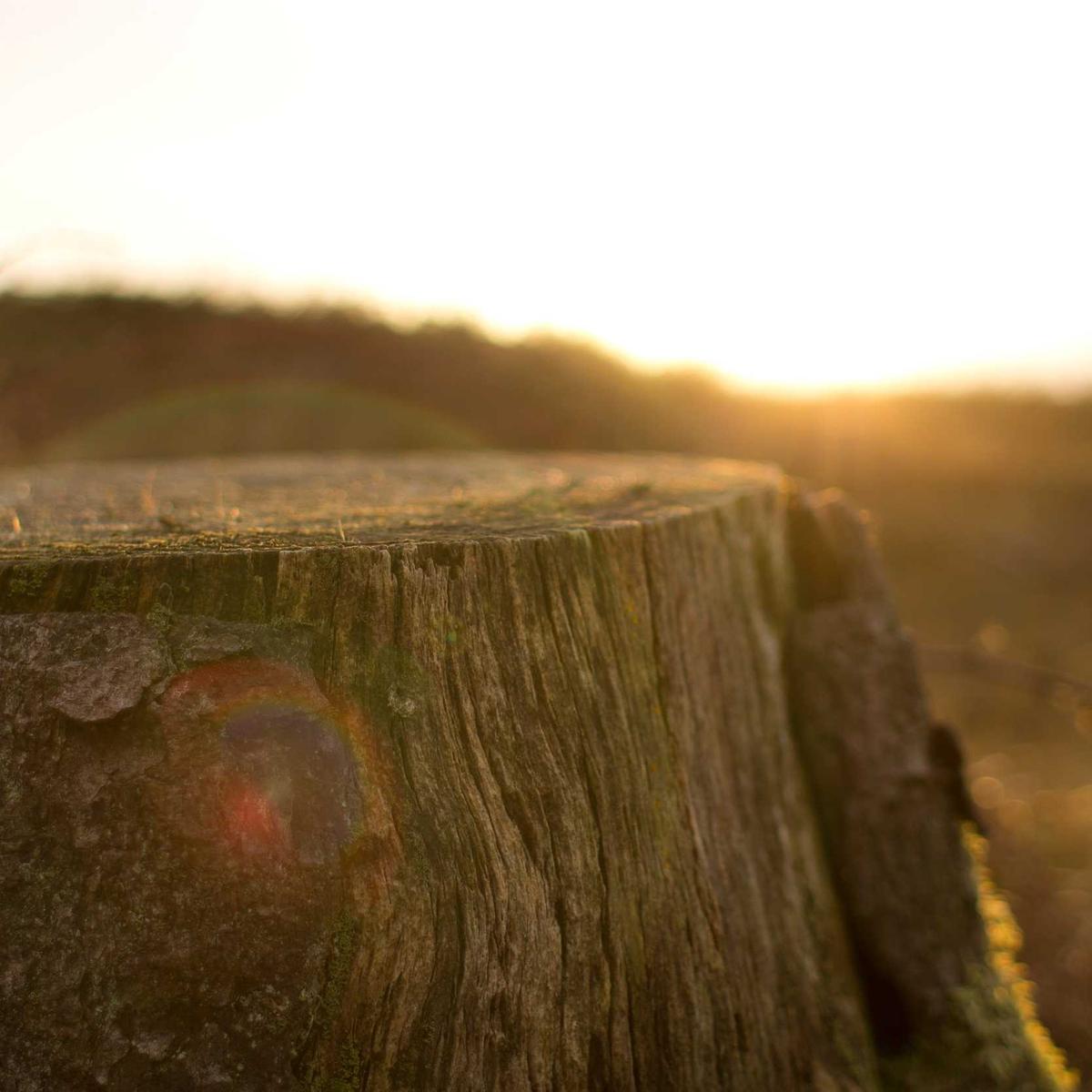 Accountant part-time – 3