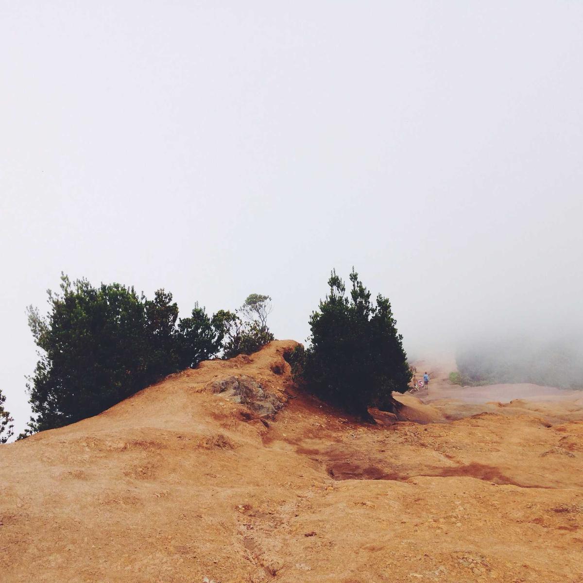 Bajaji Tuk-tuk 2019 – 2