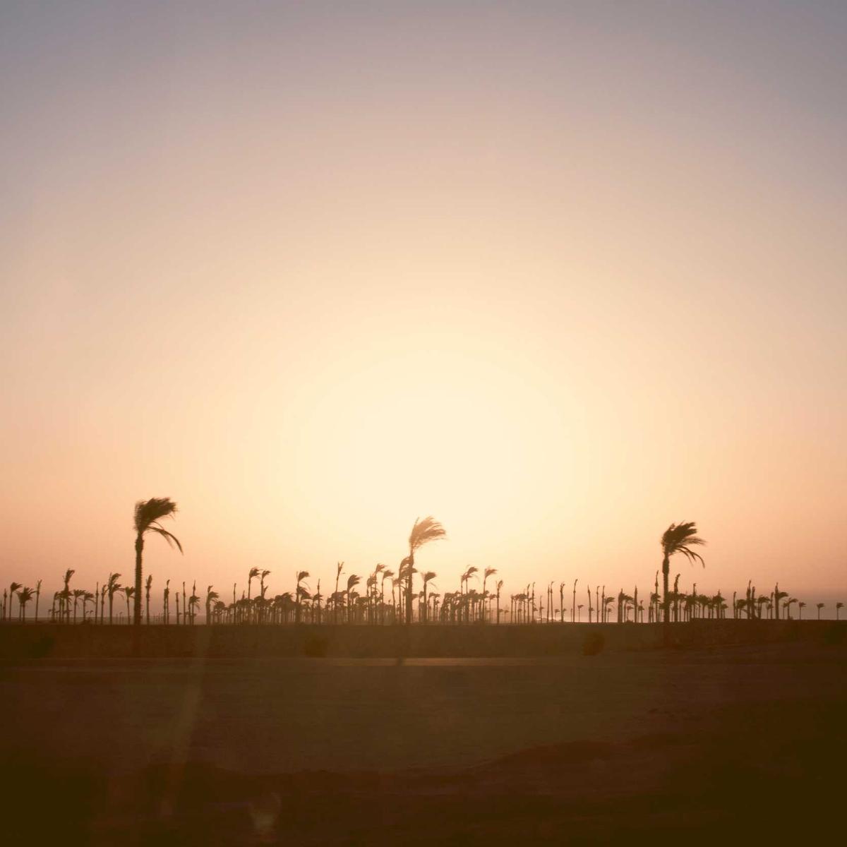 Bluetooth speaker JBL Flip 6