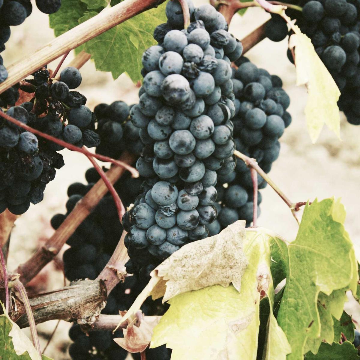 Bluetooth speaker JBL Flip 6 – 3