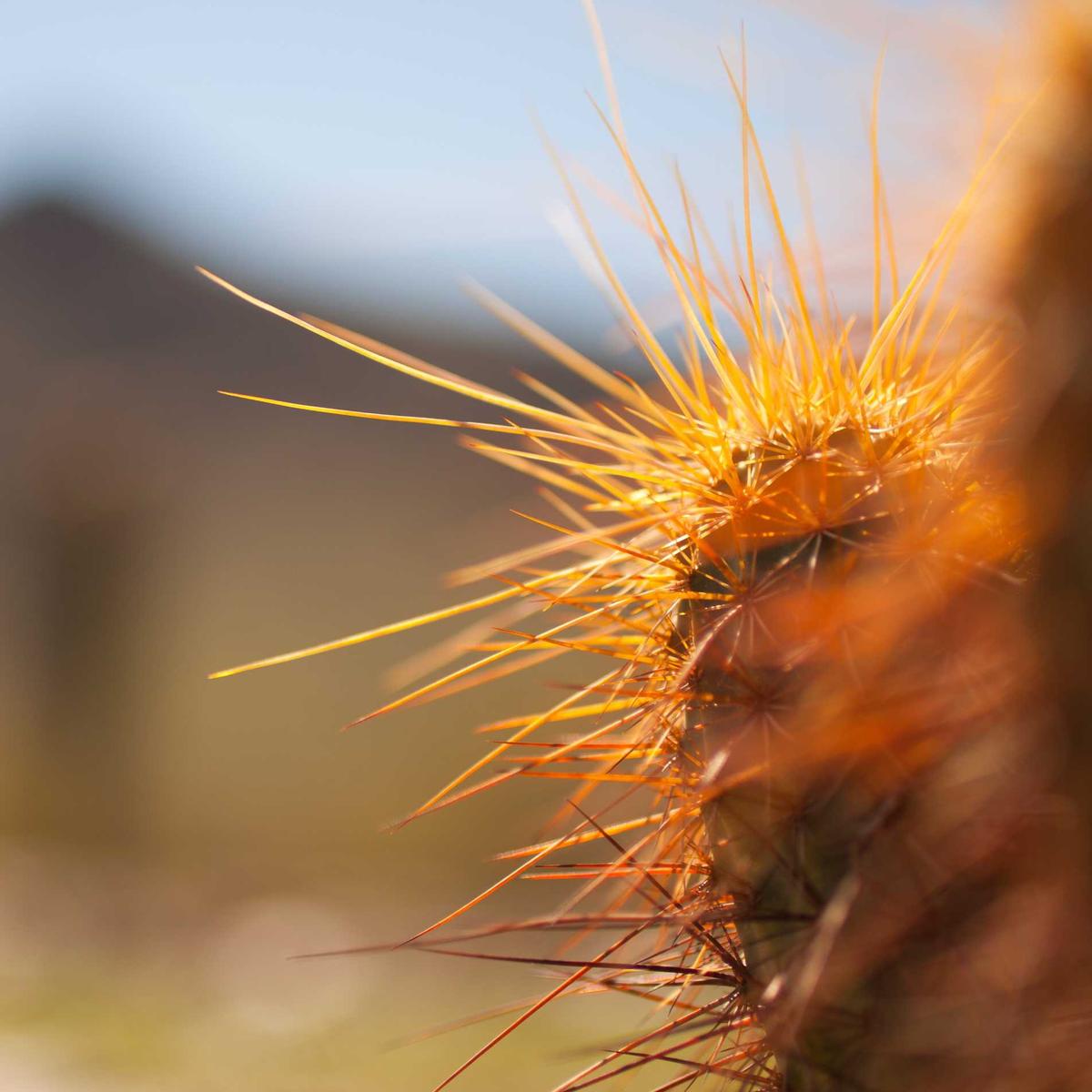 Bridal makeup package – 2