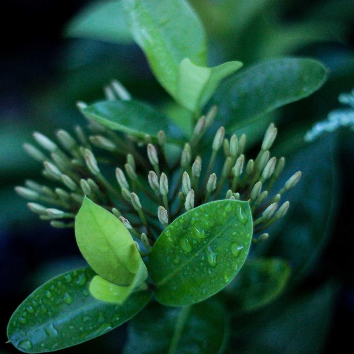 Coding bootcamp — Python