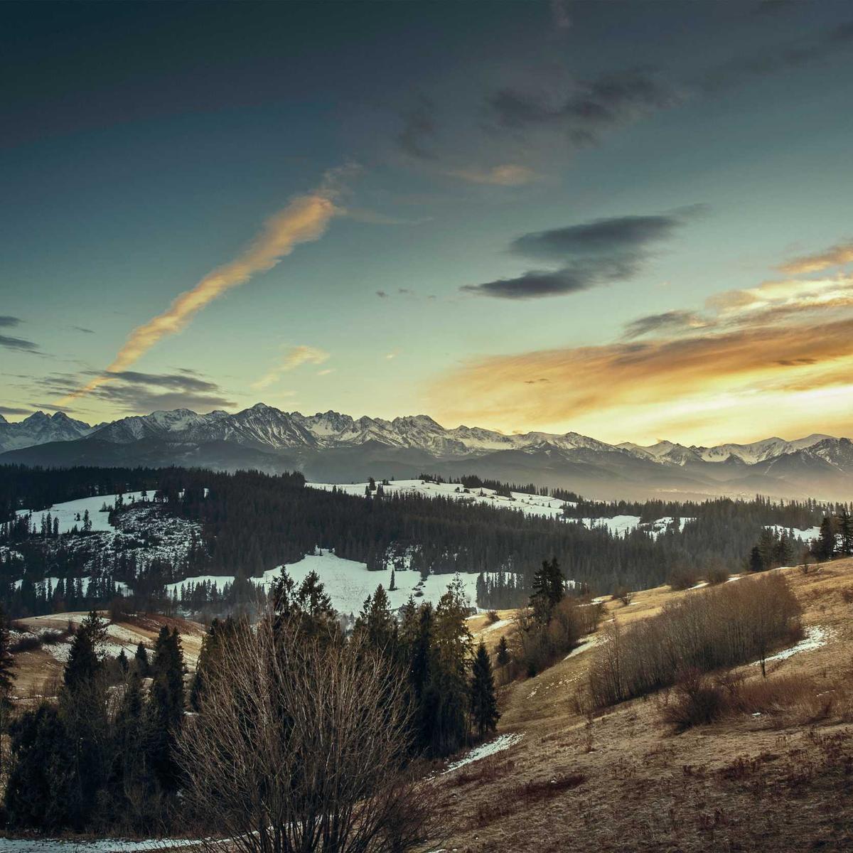 Driver wanted — family car – 1