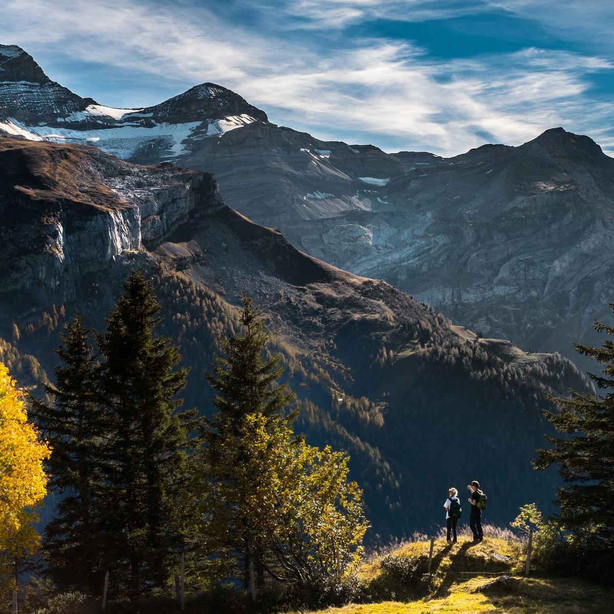 Driver wanted — family car – 2