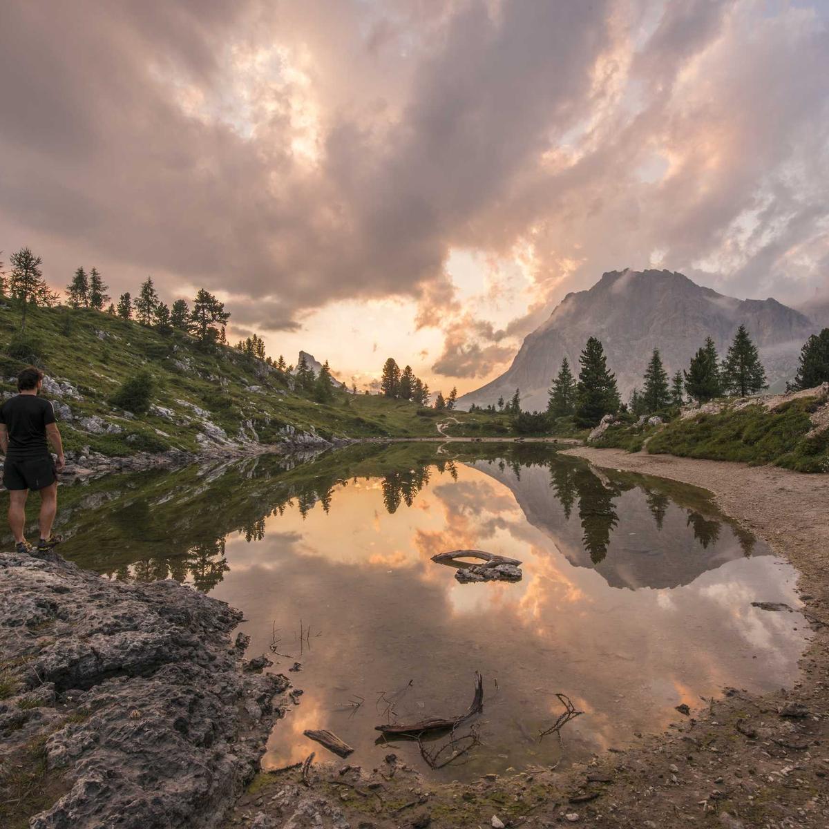 Fish tank 100L + accessories – 5