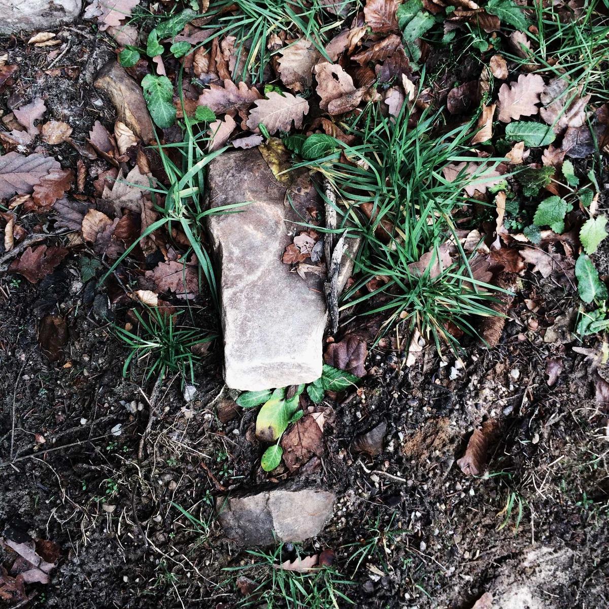 Fish tank 100L + accessories – 5