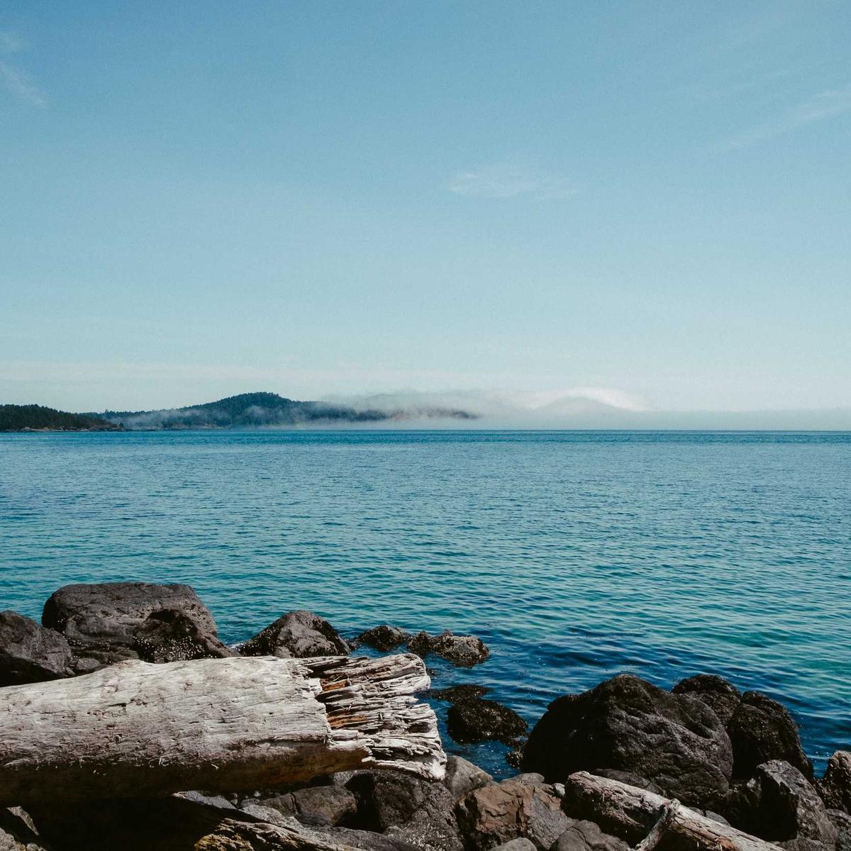 Hair extensions — Brazilian