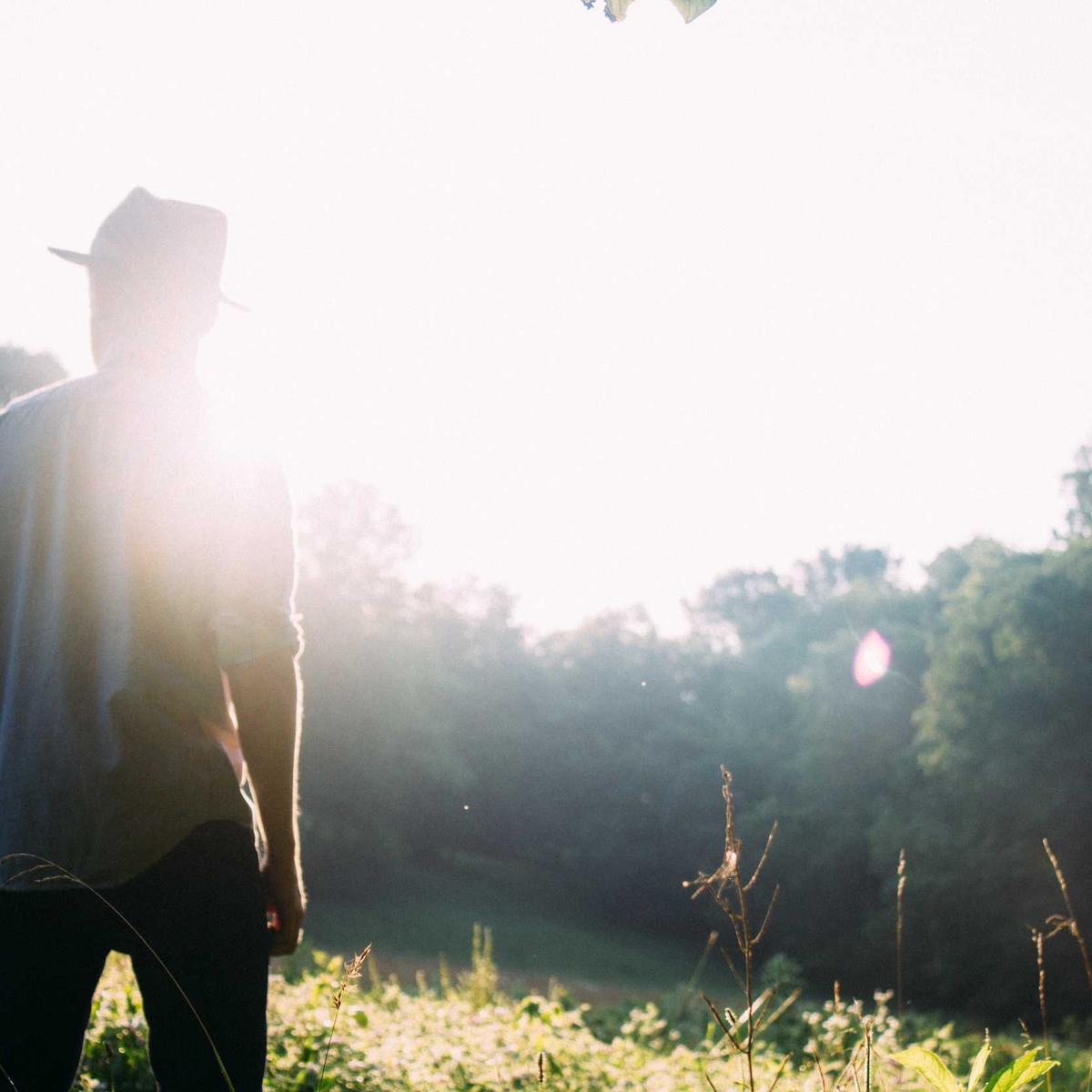 Honey from Iringa 1 litre – 1