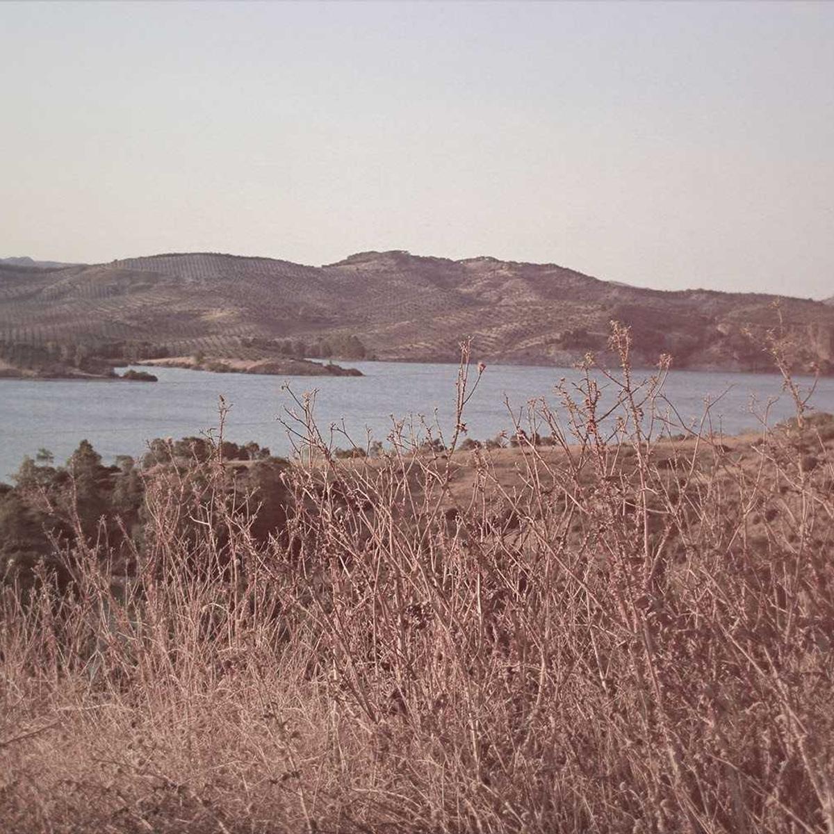 Kitenge dress — tailored