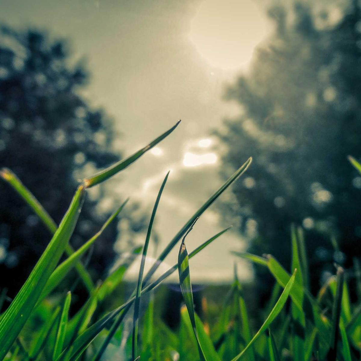 Math & physics tutoring O-level – 2