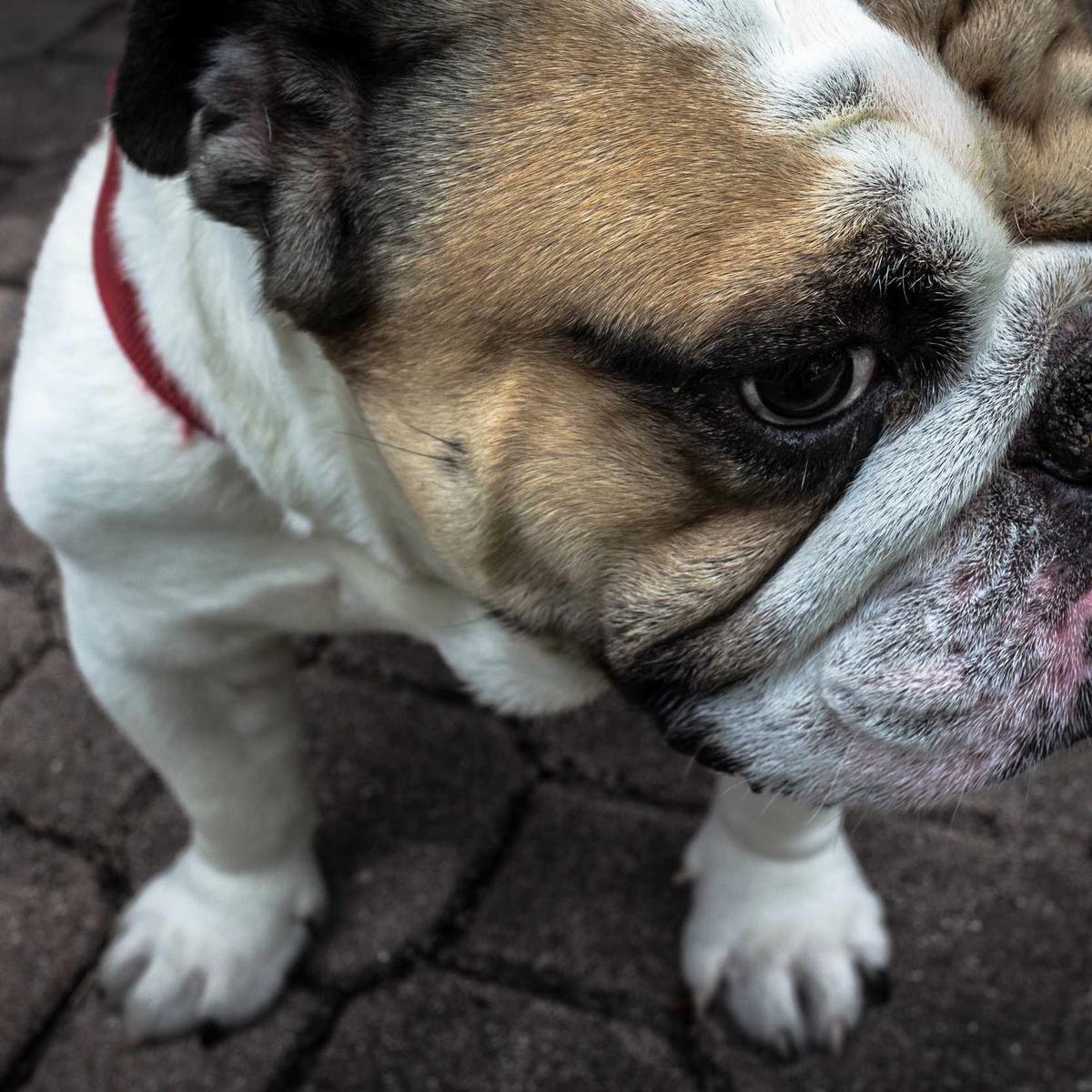 Math & physics tutoring O-level – 3