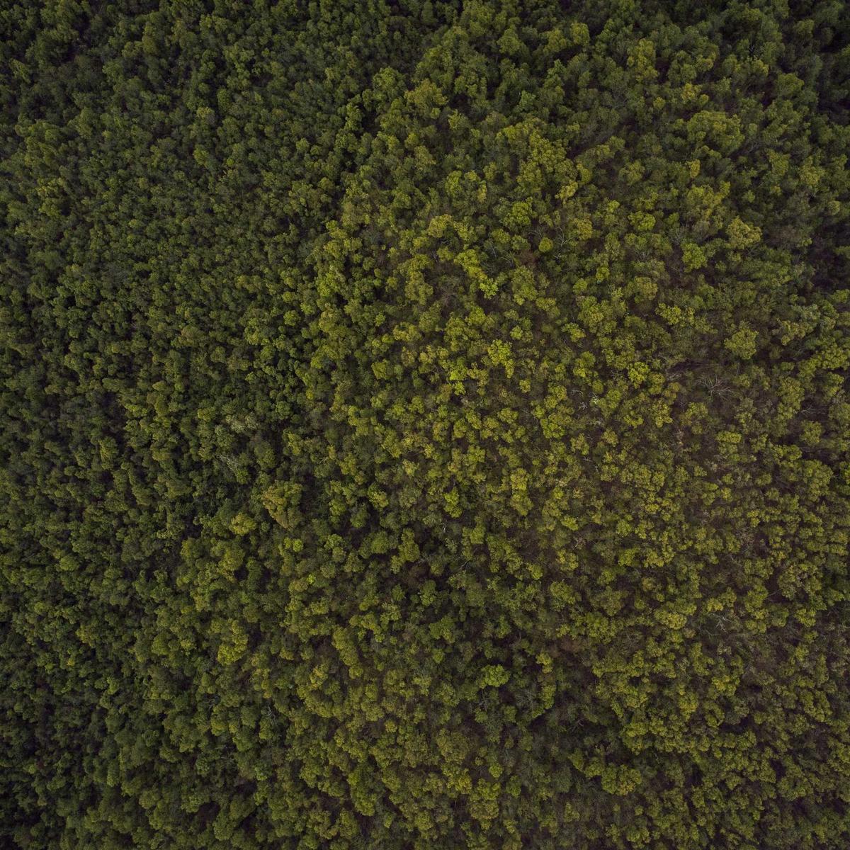 Office desk + chair – 3