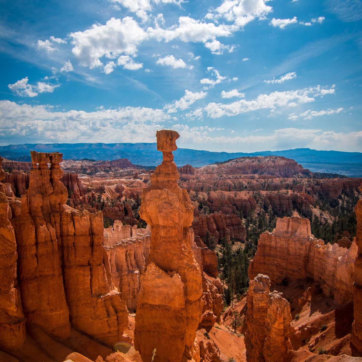 Office desk + chair – 4