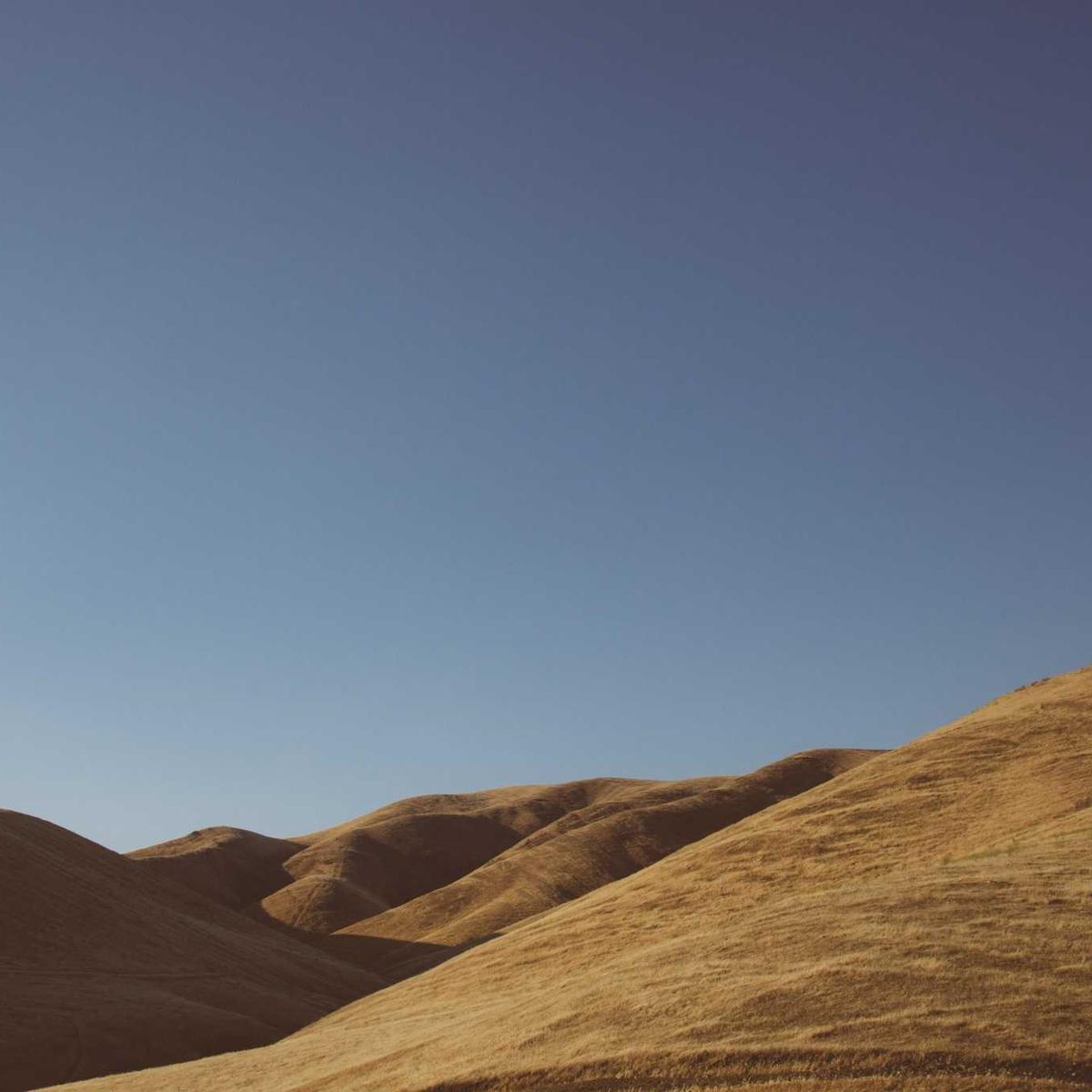 Pilau spice mix 500g – 3