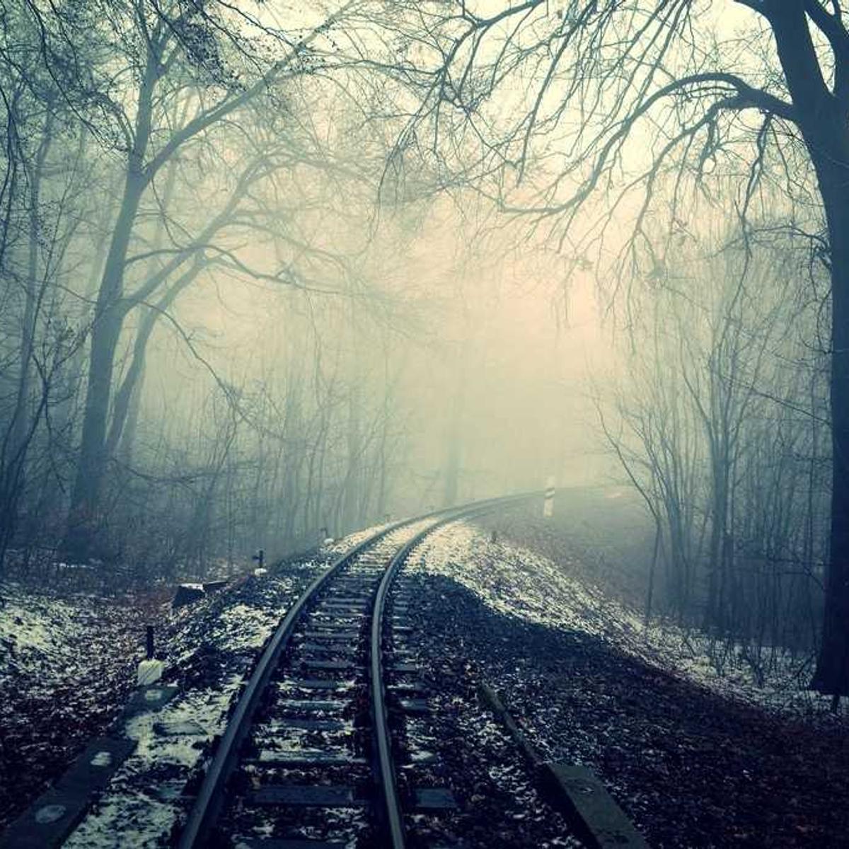 Pilau spice mix 500g – 3