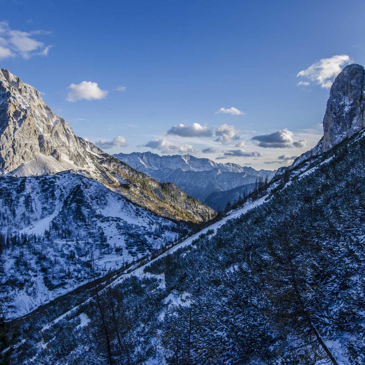 Pilau spice mix 500g – 5