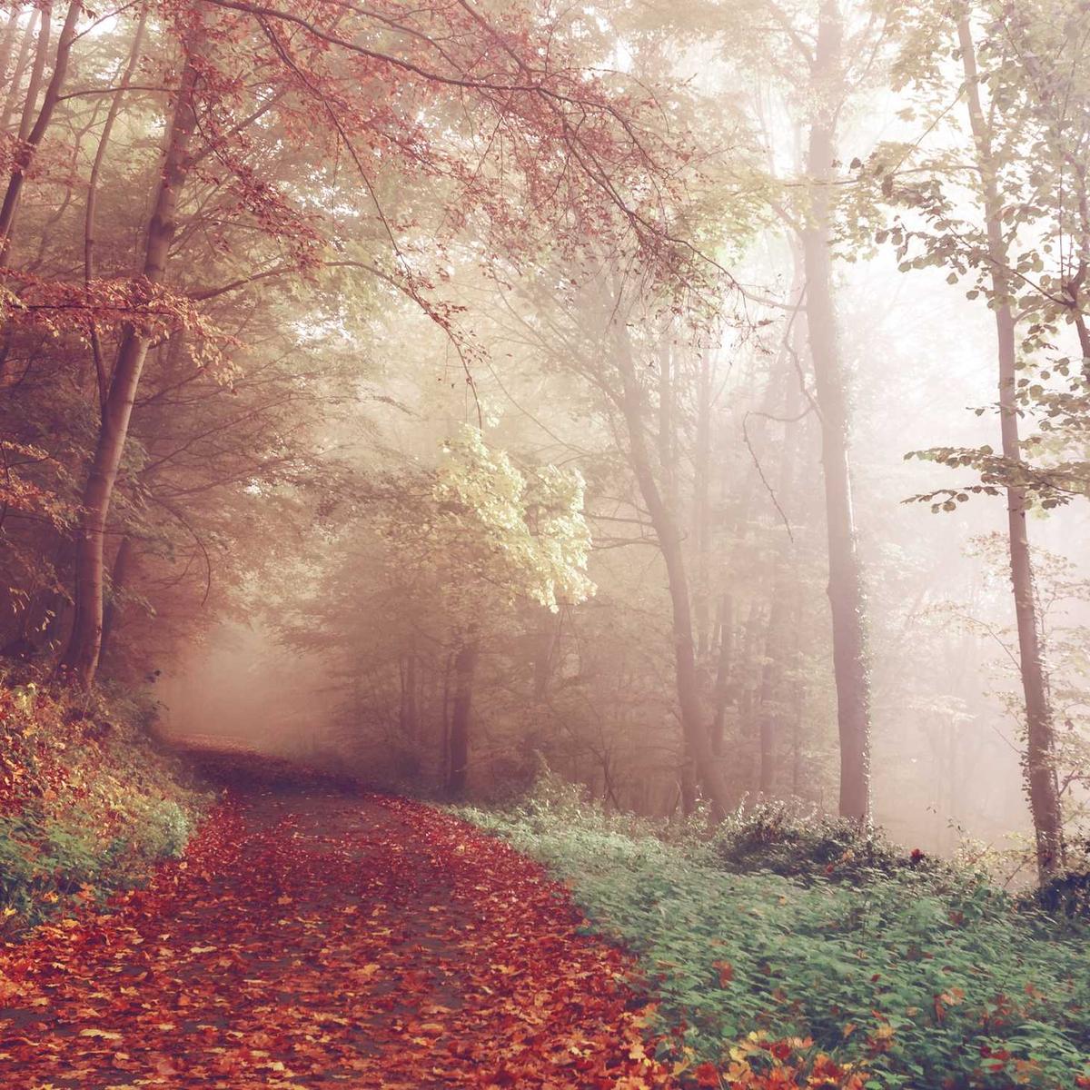 Plot for sale Dodoma 1 acre – 1