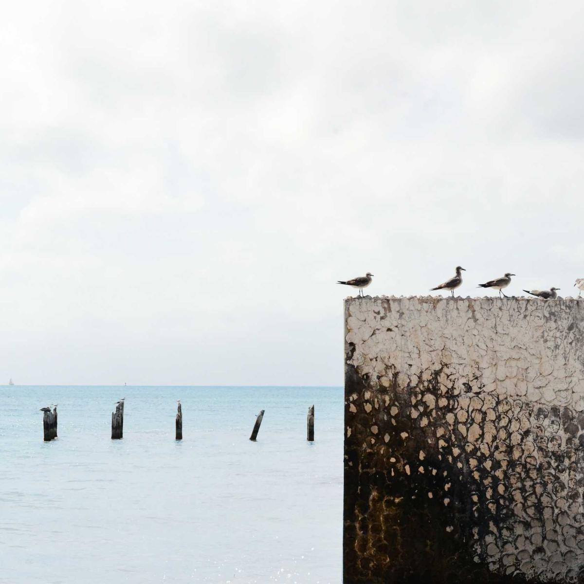 Plot for sale Dodoma 1 acre – 3