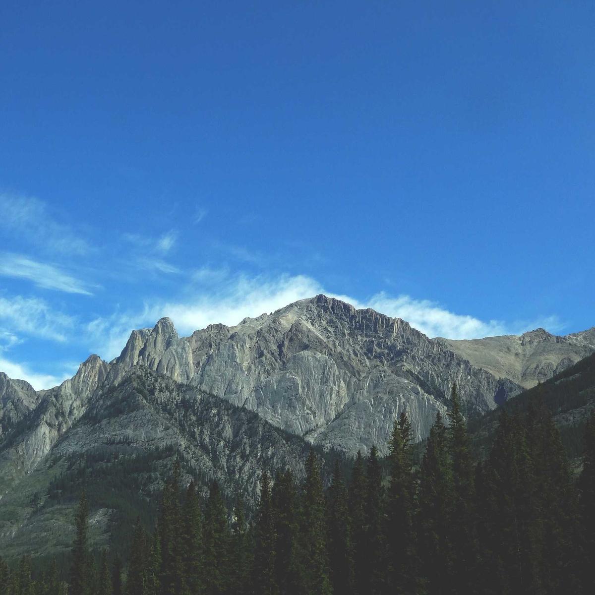 Quranic studies — child