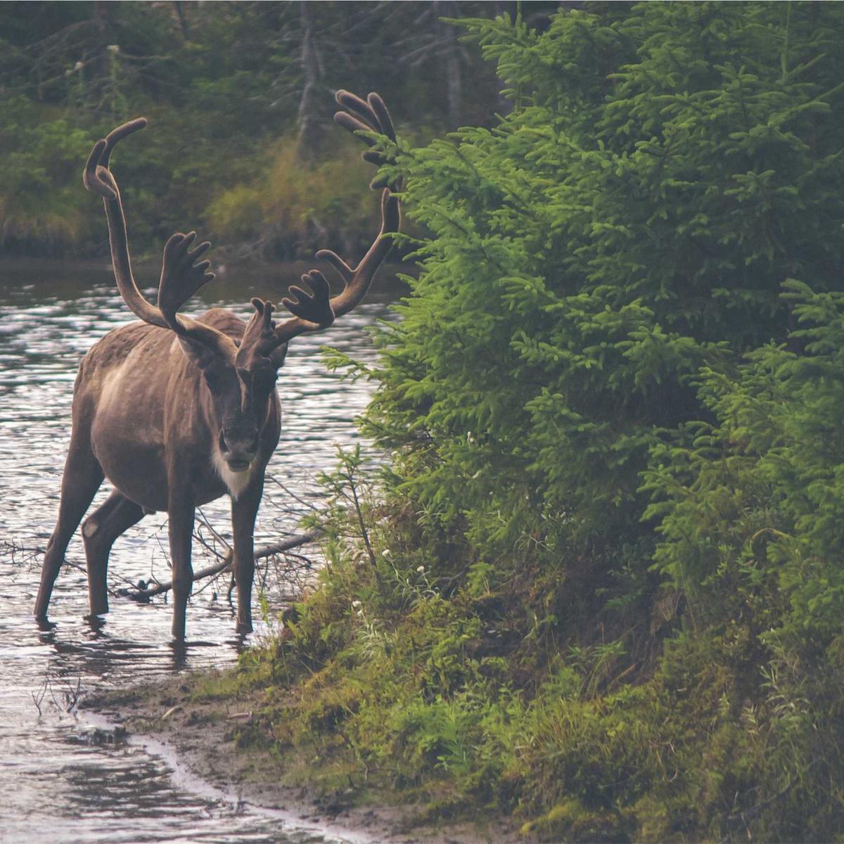 Quranic studies — child – 2