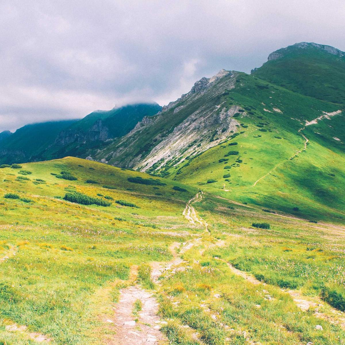 Quranic studies — child – 5