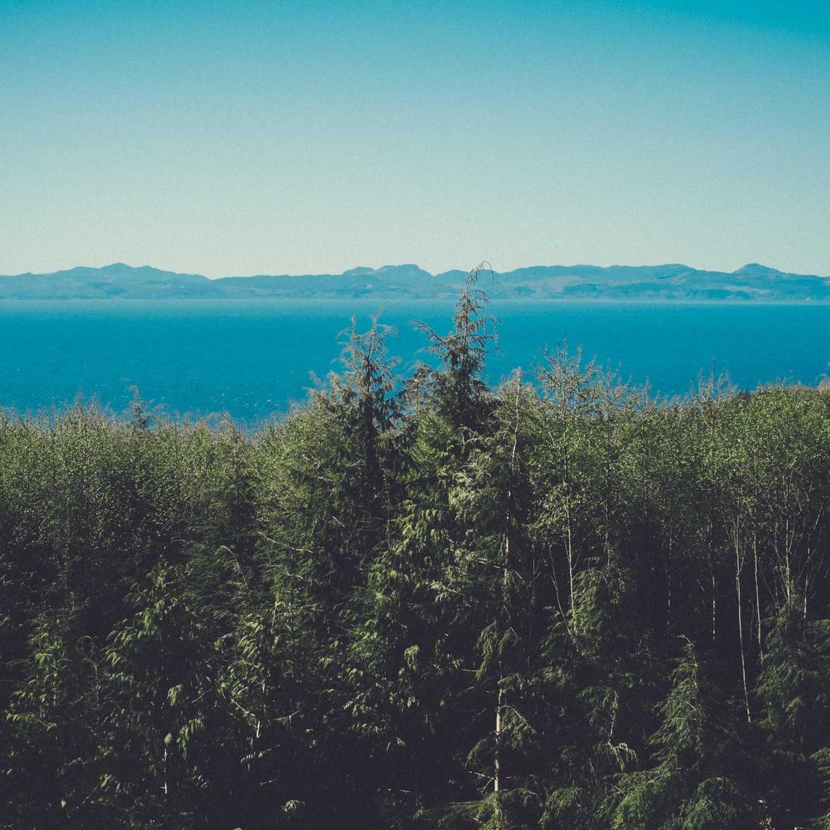 Sales executive — telecom – 3