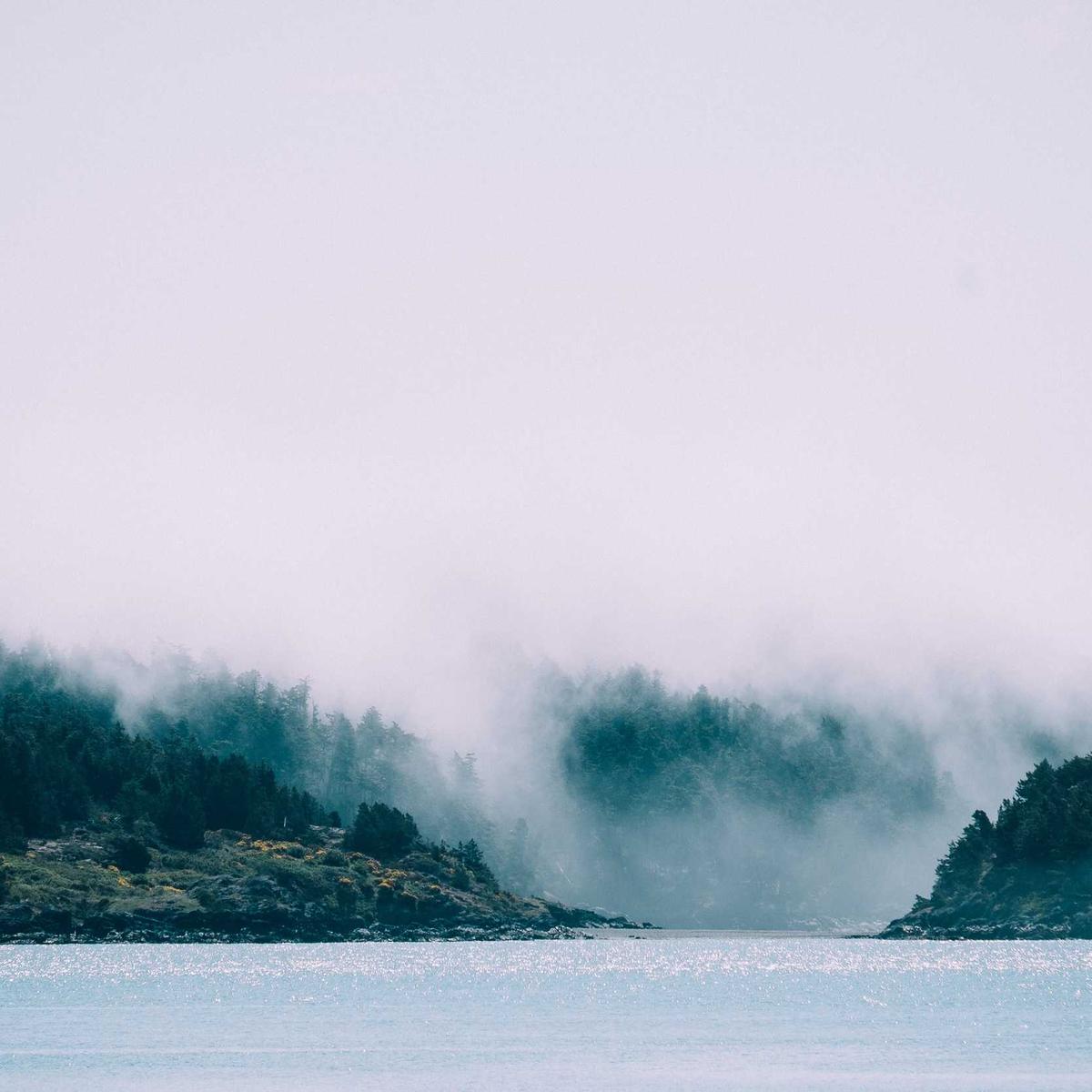 Sales executive — telecom – 5