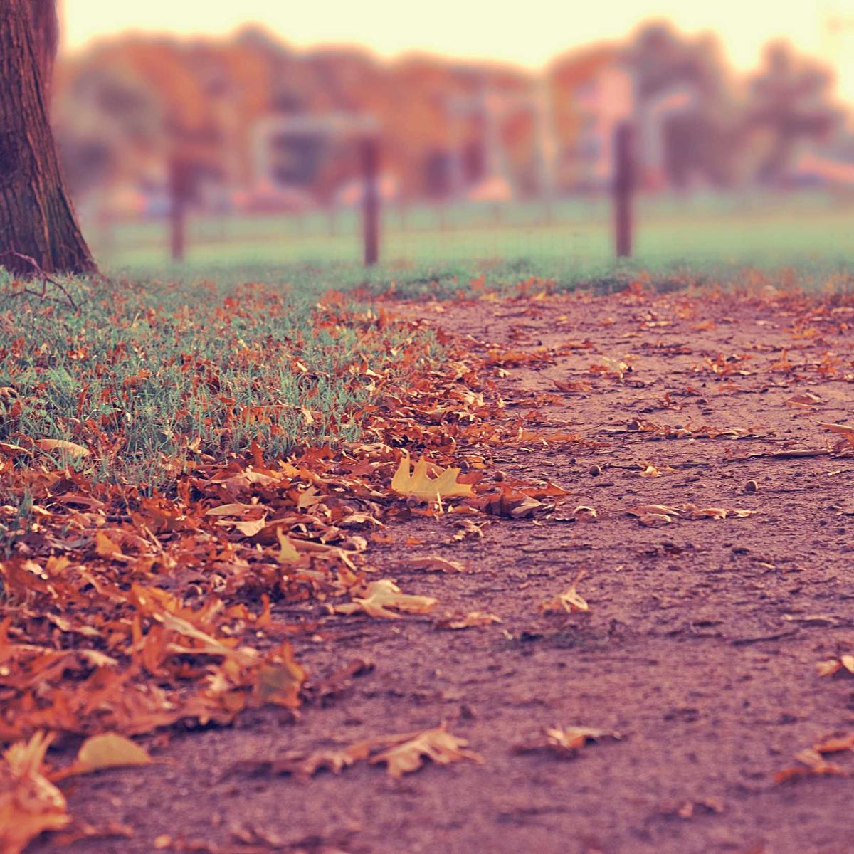 Sewing machine Singer – 2