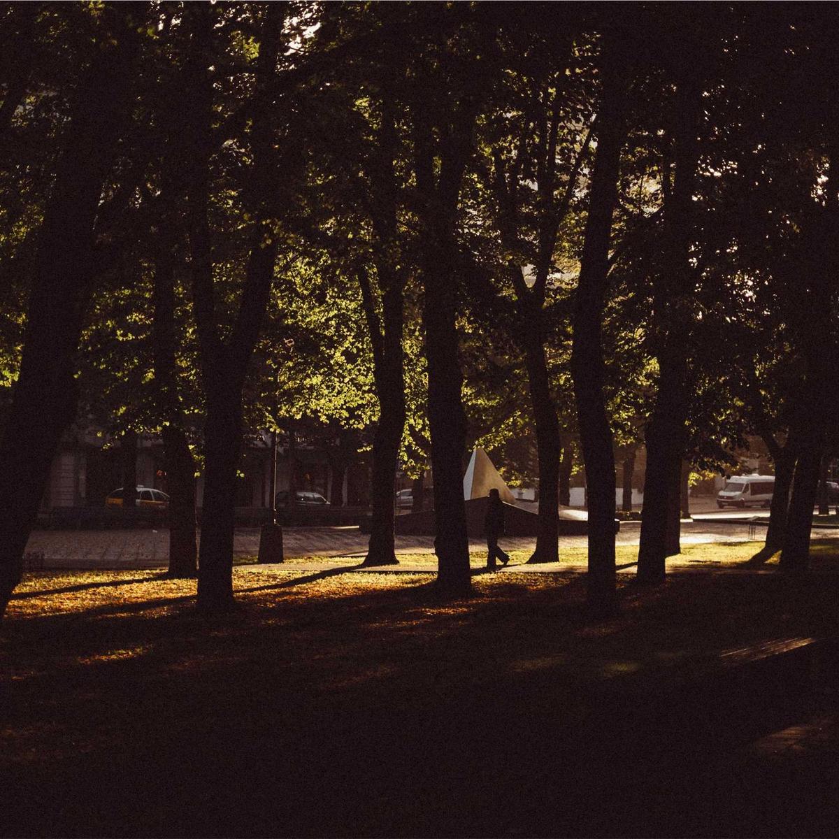 Software developer (junior) – 3