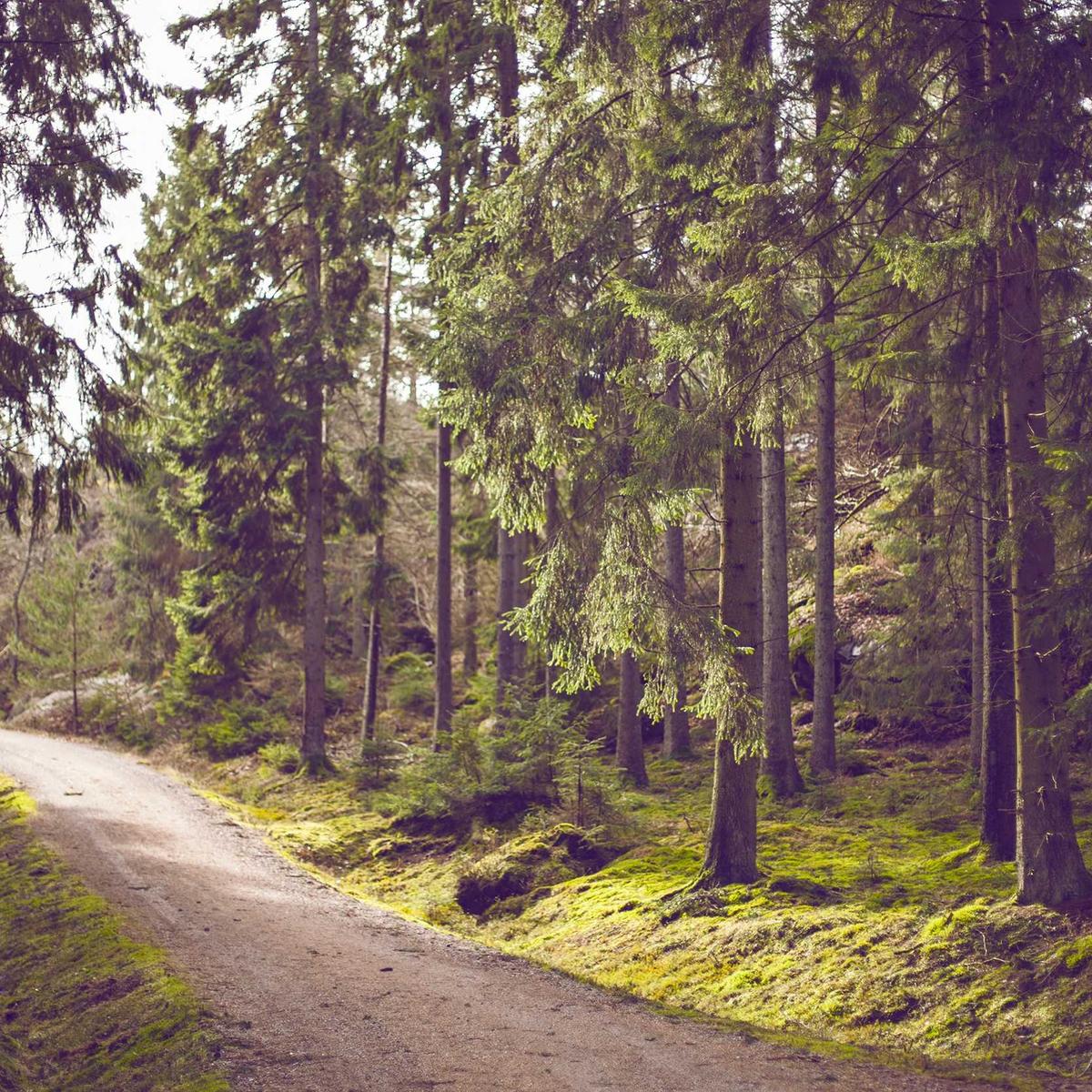 Solar panel kit 200W – 4