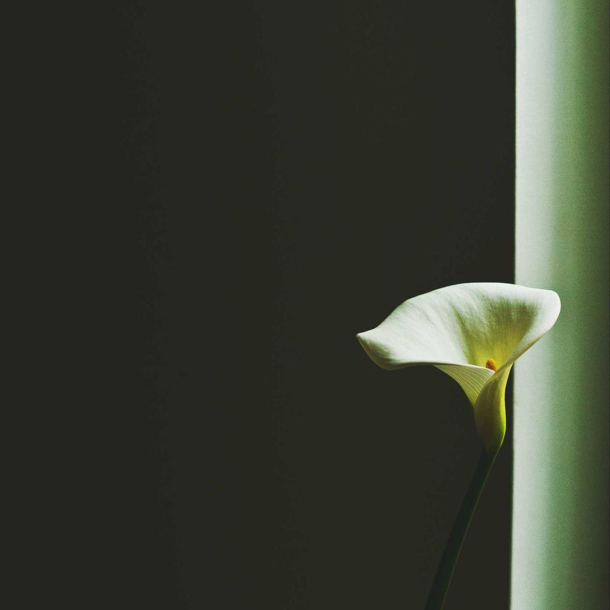 Toyota Vitz 2014 – 2