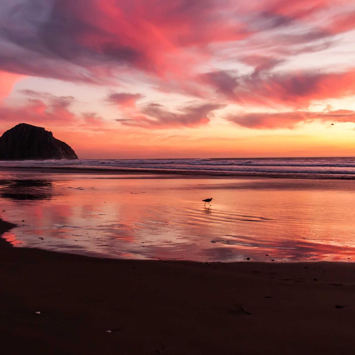 WTB: Bridal makeup package – 2