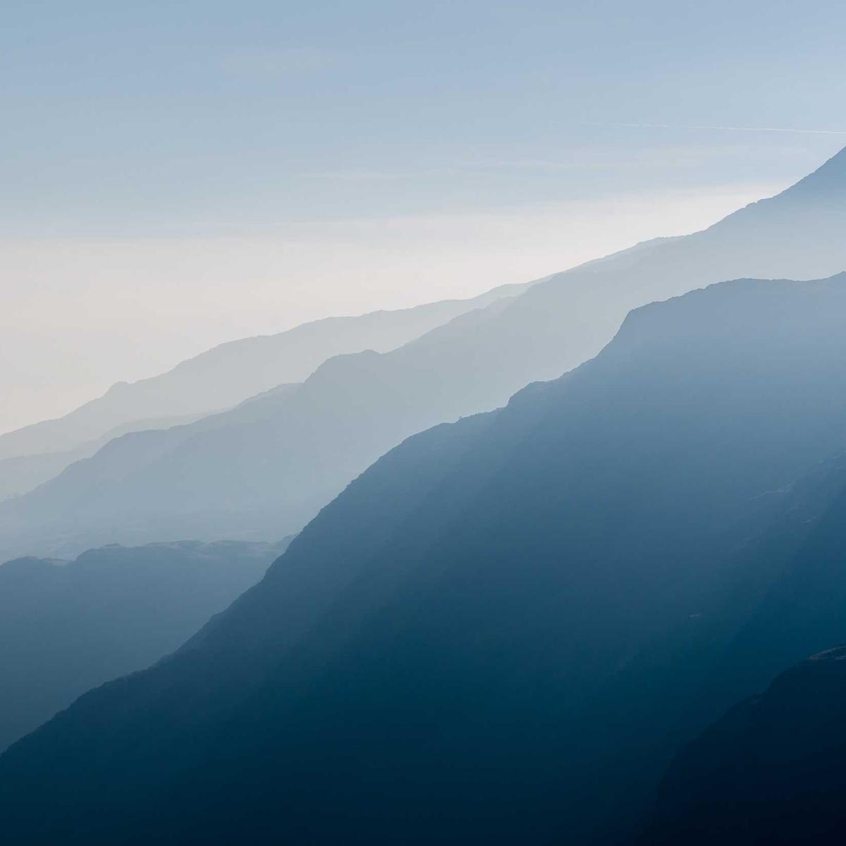 WTB: Cassava chips wholesale