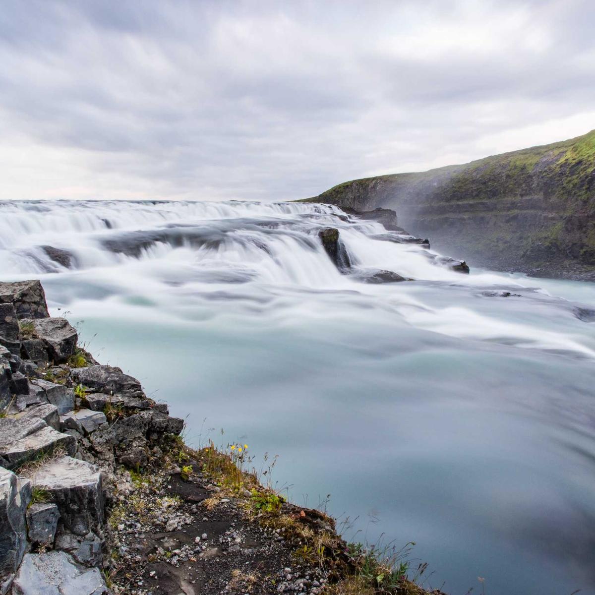 WTB: Fresh cassava 50kg sack – 2