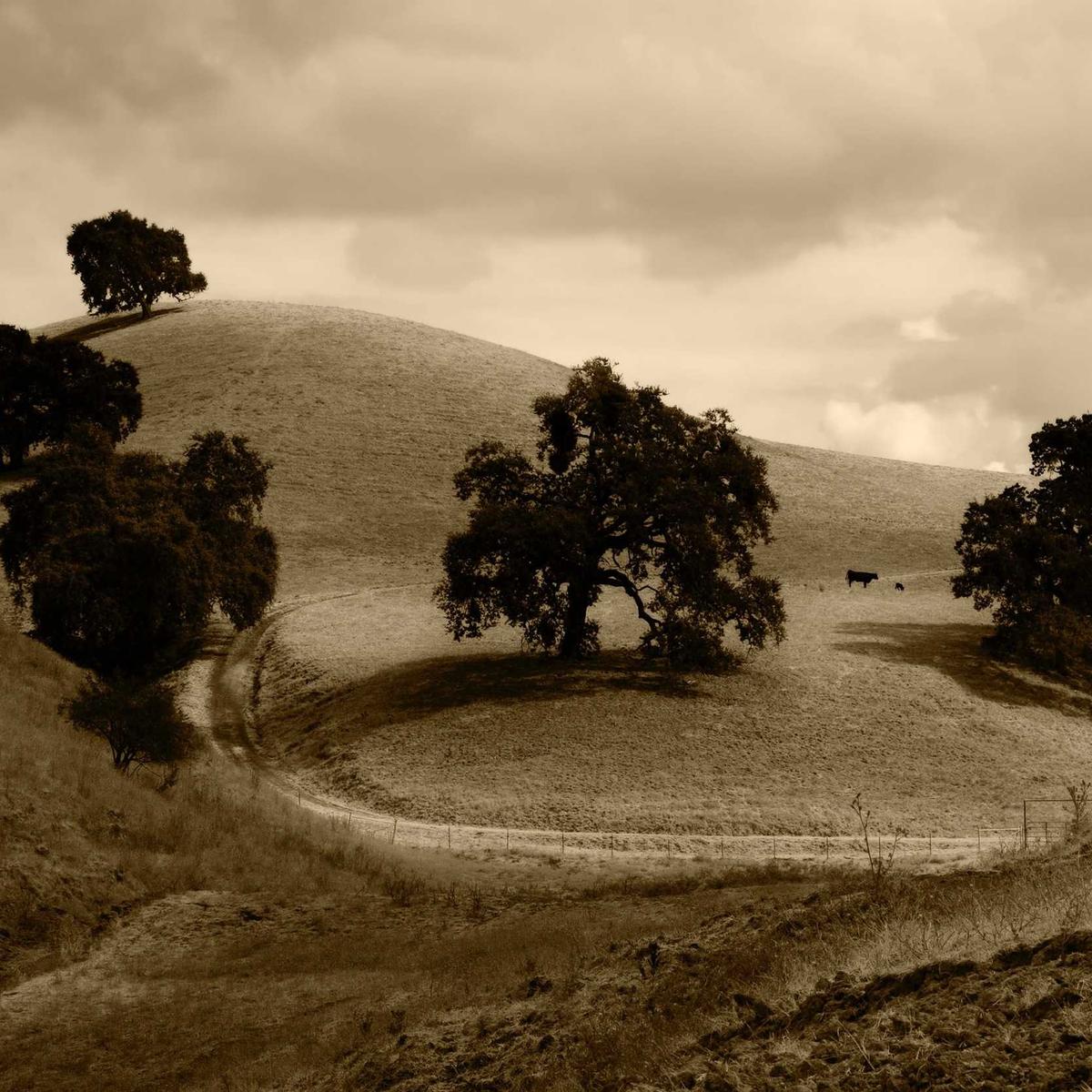 WTB: Software developer (junior) – 3