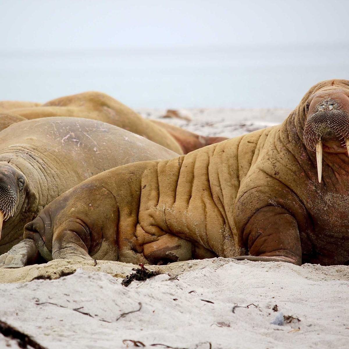 Yoga classes — group – 2